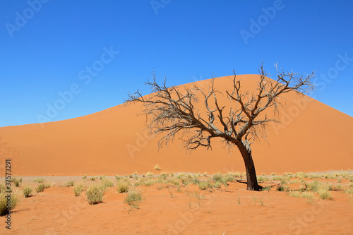Dead Vlei Namibia © daskleineatelier