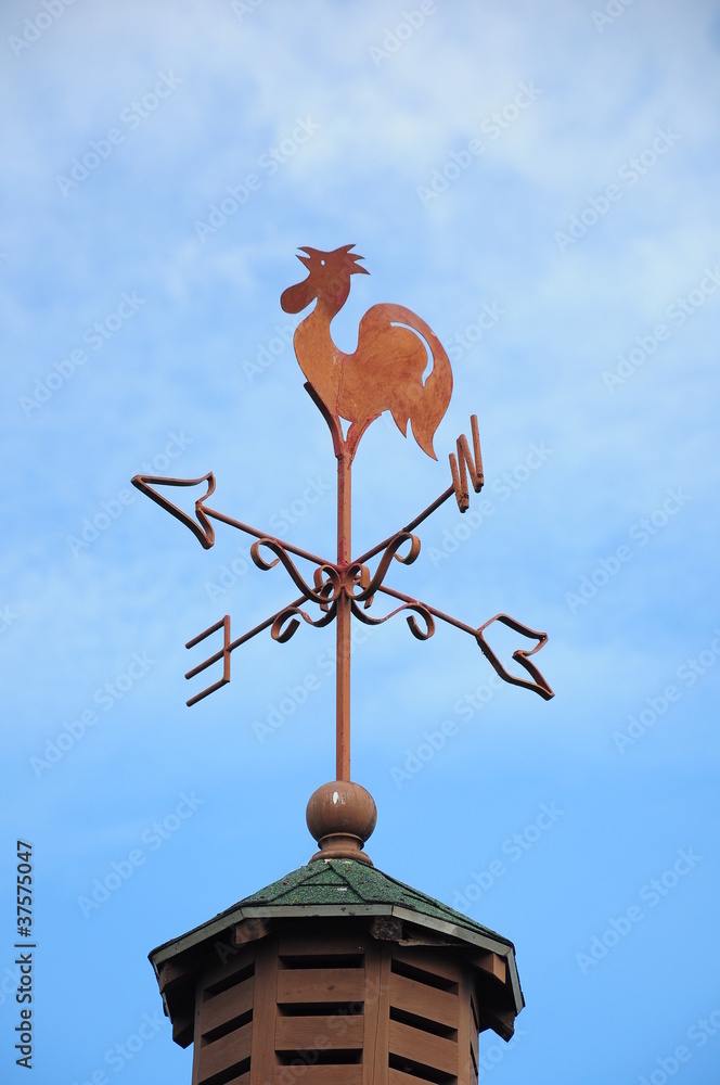 Wind cock weather vane direction on blue sky Wind cock weather vane direction on blue sky