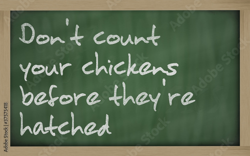 " Don't count your chickens before they're hatched " written on