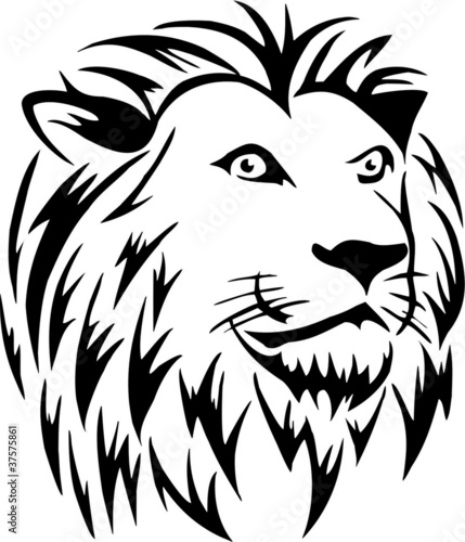 Lion's head