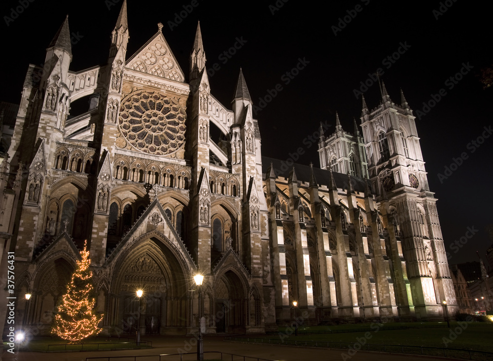Christmas tree in front of Westminster Abbey in London England