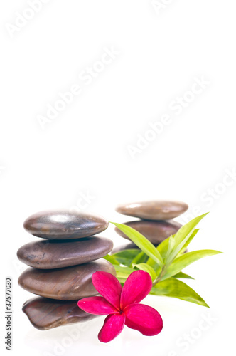 Red frangipani with stacked red river stones