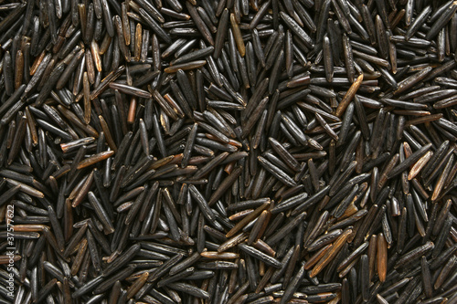 Black rice