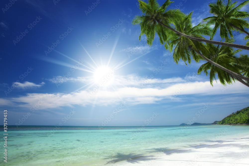 sunny sunny