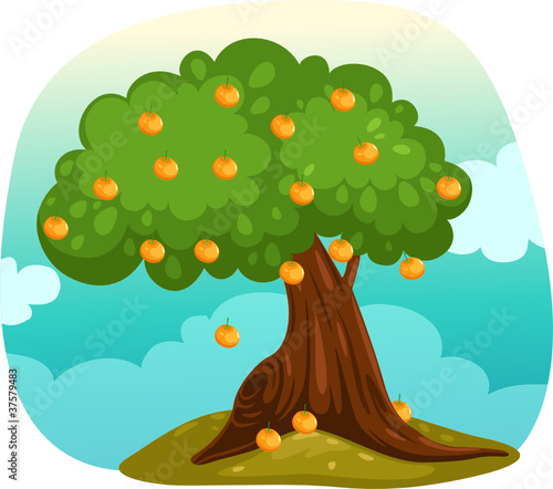 Orange tree