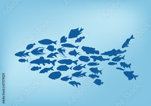 complex blue fish
