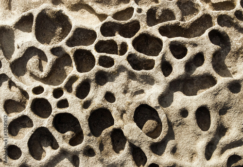 Rock erosion holes in the sea wall  Western-Super-Mare.