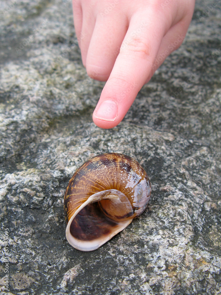 snail shell and finger pointing snail shell and finger pointing