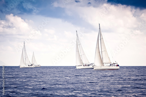 Sailing ship yachts with white sails © Andrew Bayda
