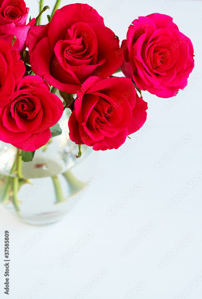 Bunch of pink roses in a vase Bunch of pink roses in a vase