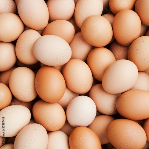 hens eggs