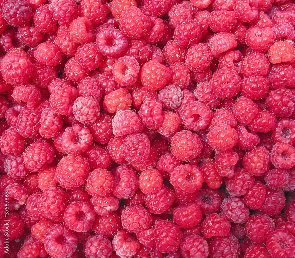 Raspberry close up - berry background Raspberry close up - berry background