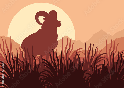 Mountain sheep in wild nature landscape illustration