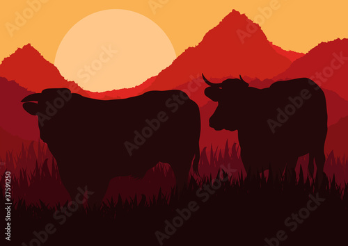 Beef cattle in wild nature landscape illustration © kstudija