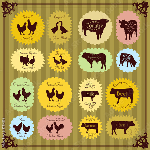 Farm birds egg and meat labels illustration collection