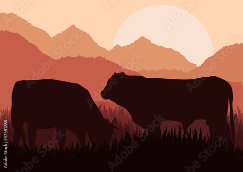 Beef cattle in wild nature landscape illustration