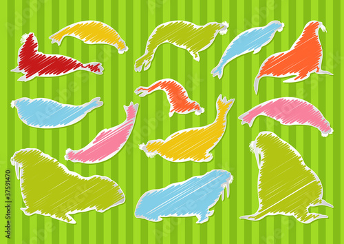 Sea lion and seal colorful illustration collection background