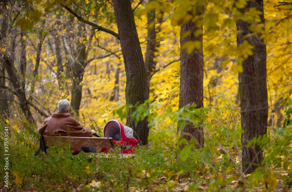 Grandpa with trolley in the Autumn park Grandpa with trolley in the Autumn park