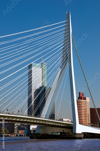 Fototapeta Naklejka Na Ścianę i Meble -  View of Erasmusbrug over Rotte river at Rotterdam - Netherlands