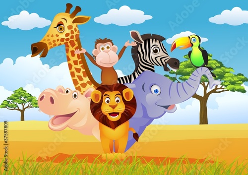 Animal cartoon