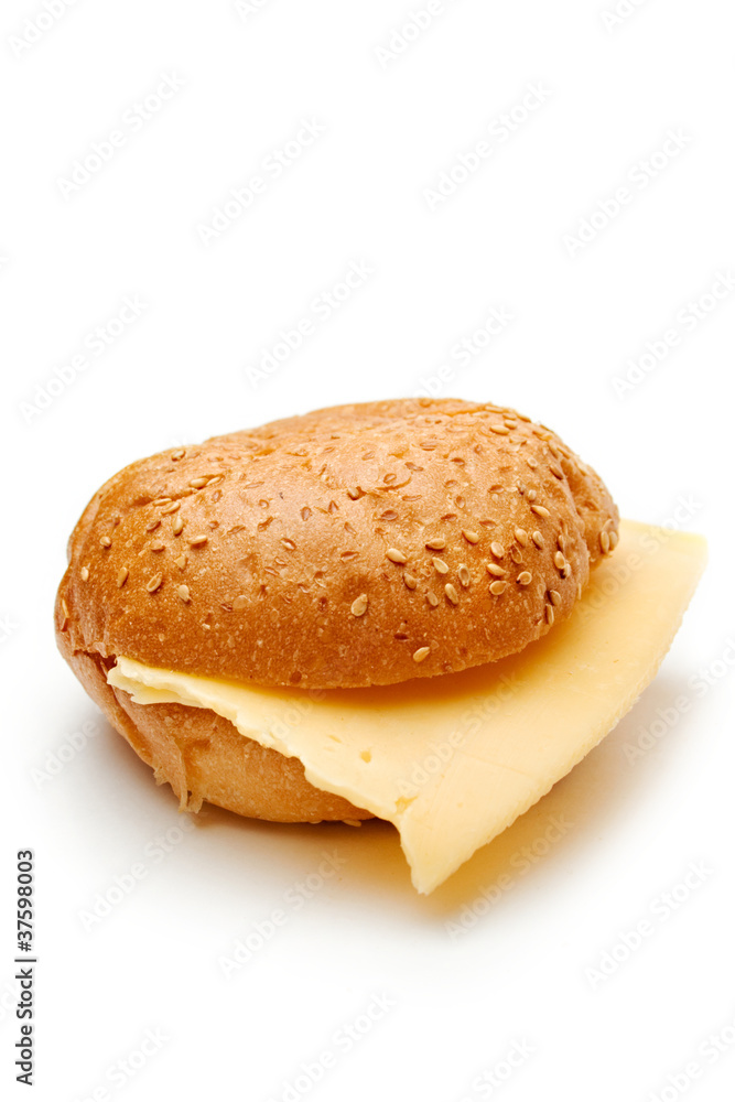 Sandwich with cheese on a white background