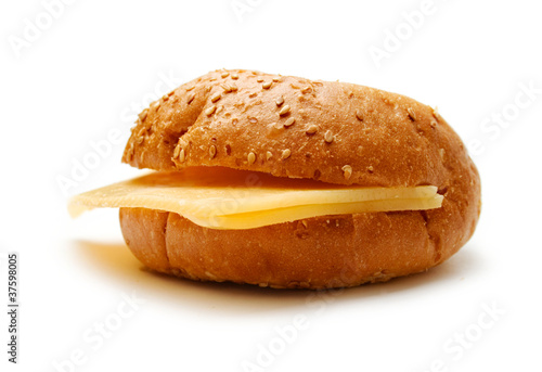 Sandwich with cheese on a white background