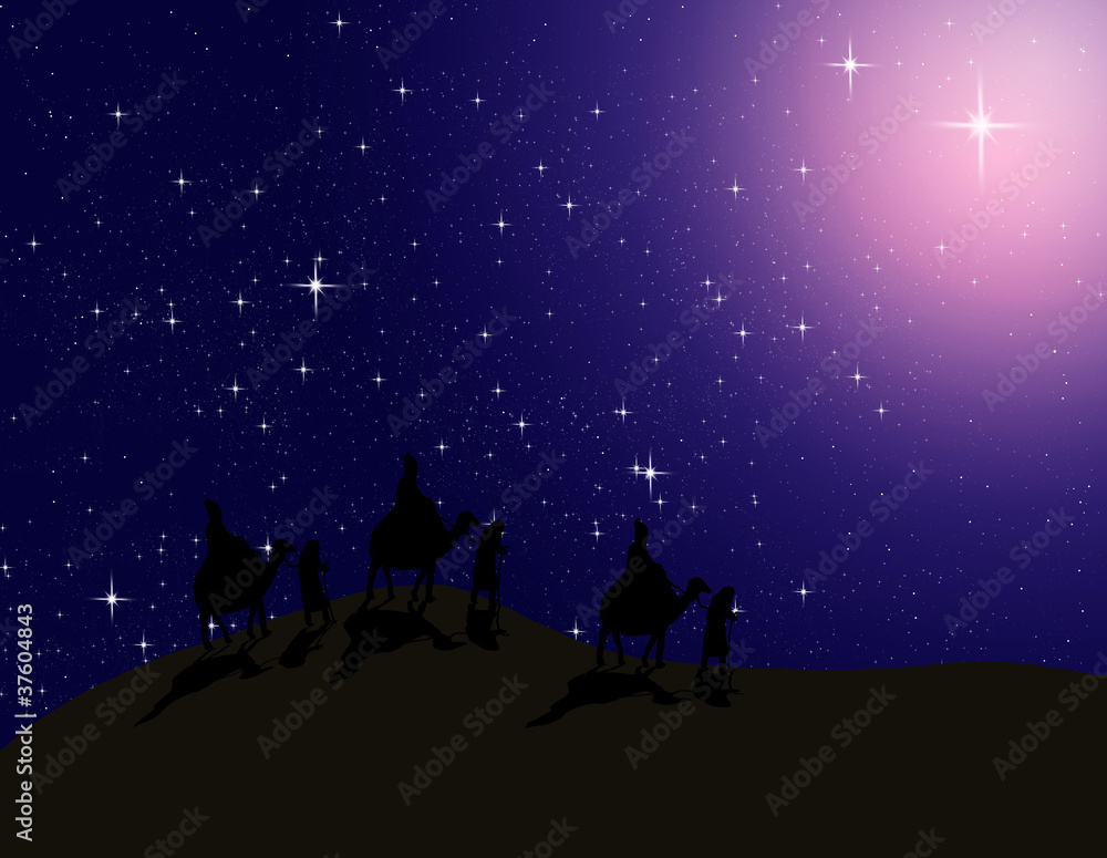 Astrologer follow the Bright star in night sky