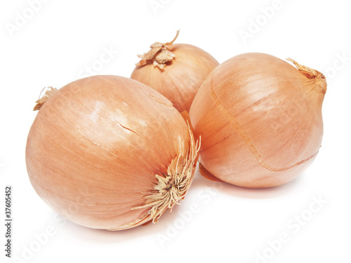 Wallpaper Mural Zwiebeln Torontodigital.ca