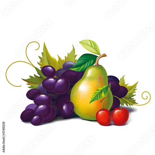 fruits