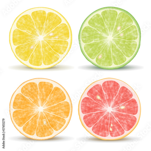 Citrus Fruits