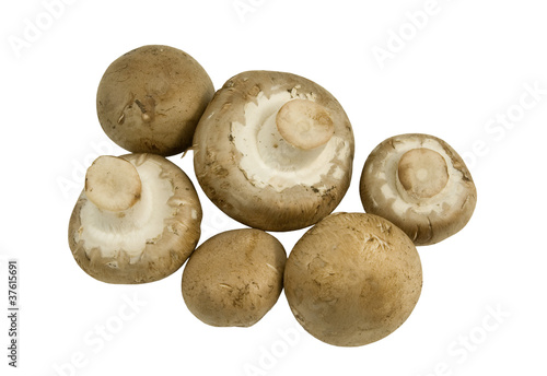 fresh cremini mushrooms on a white background