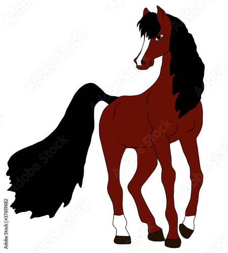 Horse