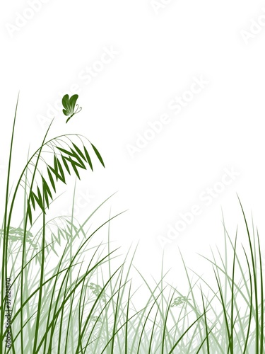 Vector grass silhouettes background