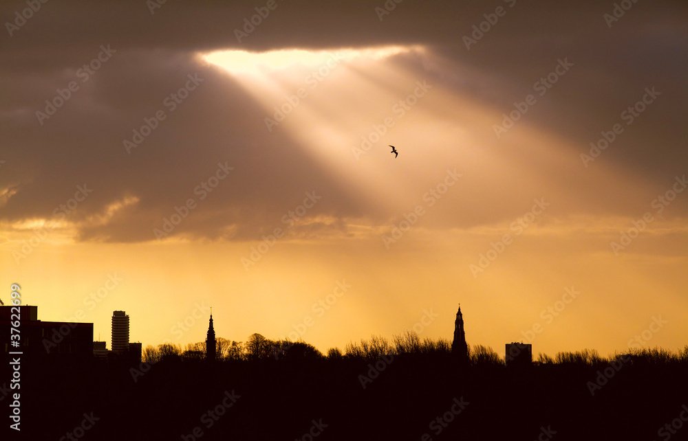Fototapeta premium sunlight in the city