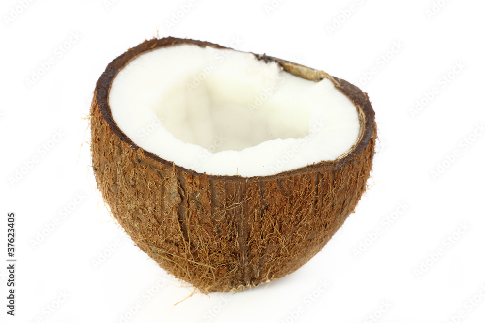 Coconut Coconut