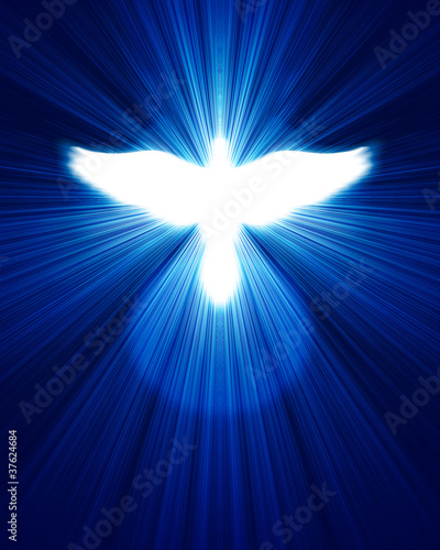 glowing dove against blue rays