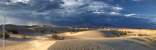Death Valley, après la tempête