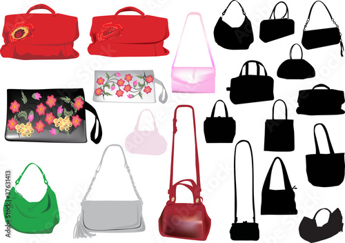 set of isolated woman handbags