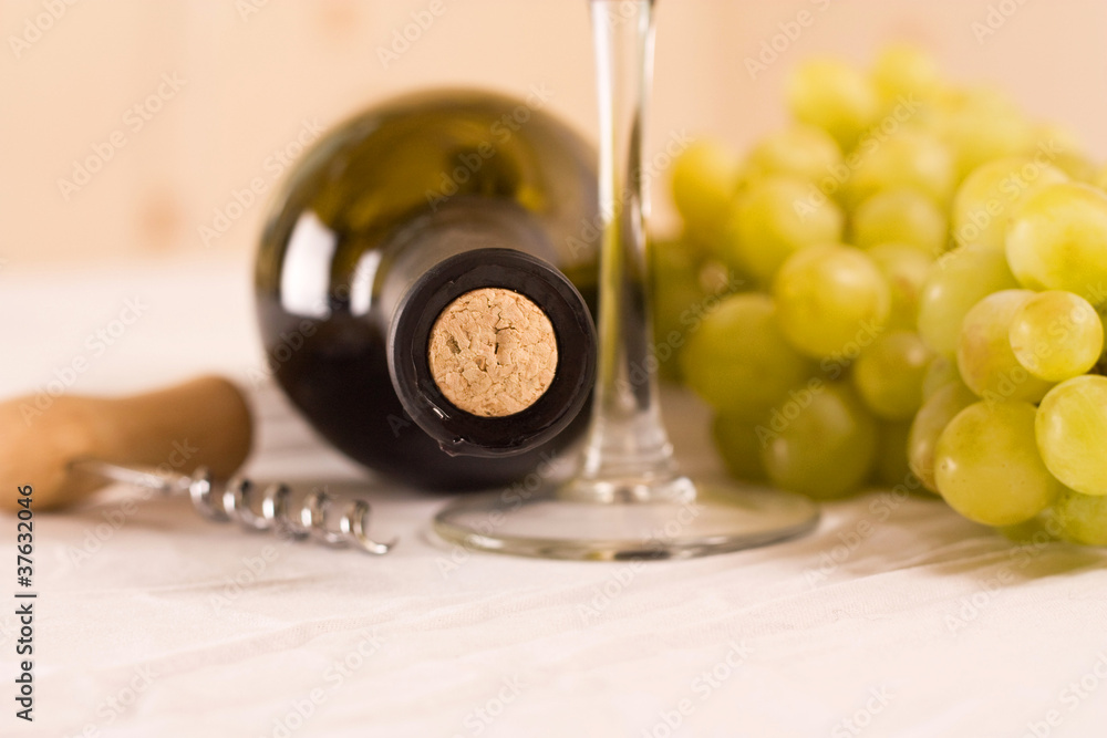 Obraz premium Wine composition