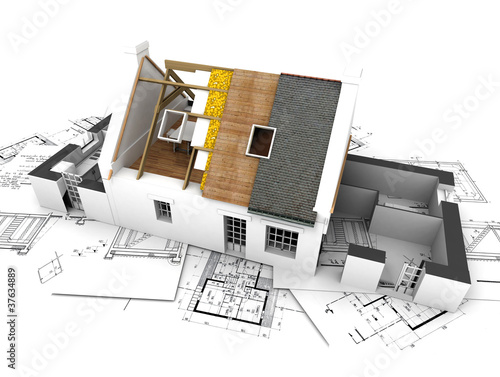 House with exposed roof layers and plans