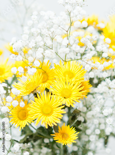 bouquet of yellow chrysanthemums