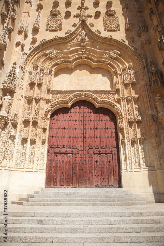 Fototapeta premium carved door of Salamanca cathedral