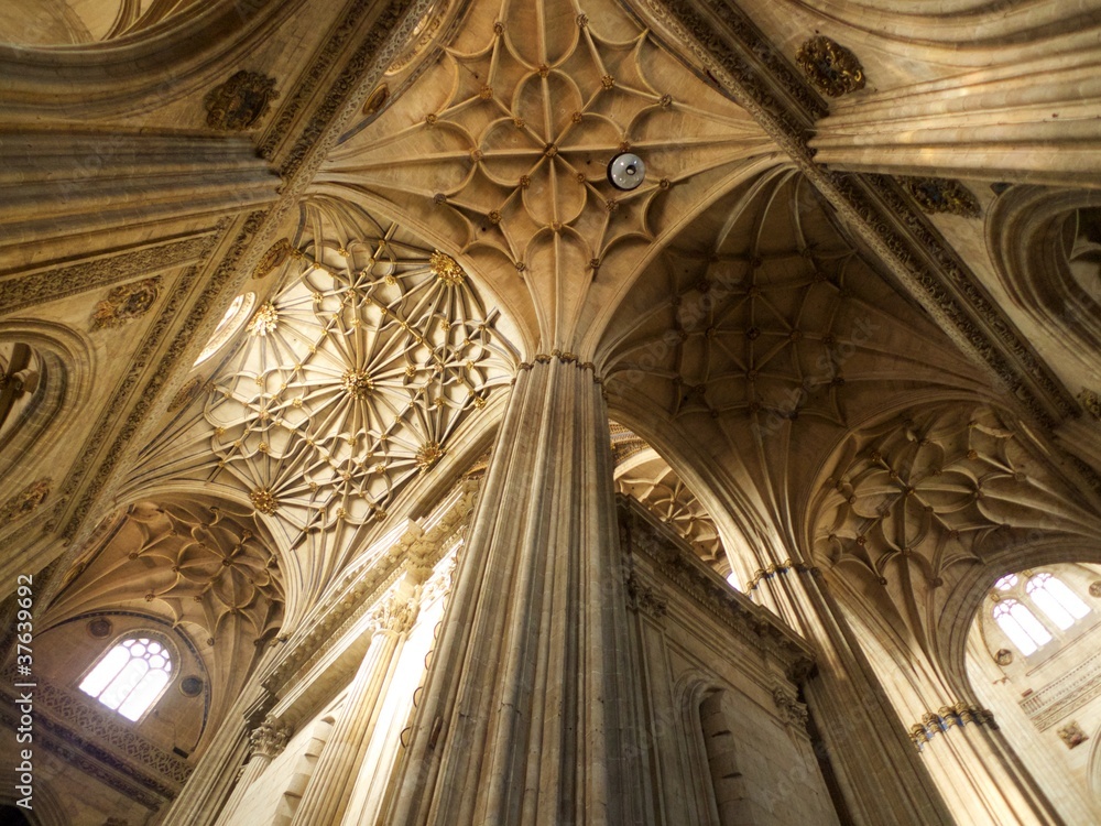 ceiling columns at Salamanca cathedral