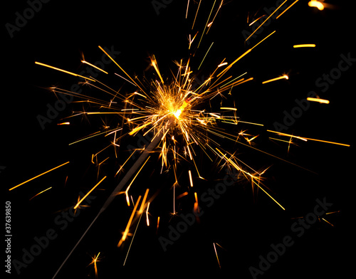 Wallpaper Mural Bengal light on black background Torontodigital.ca