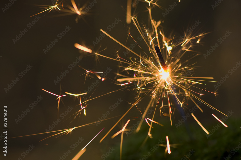 Fototapeta premium Sparkler