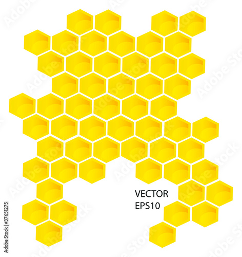 Vector honey combs