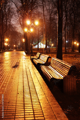 Mariinsky park at night