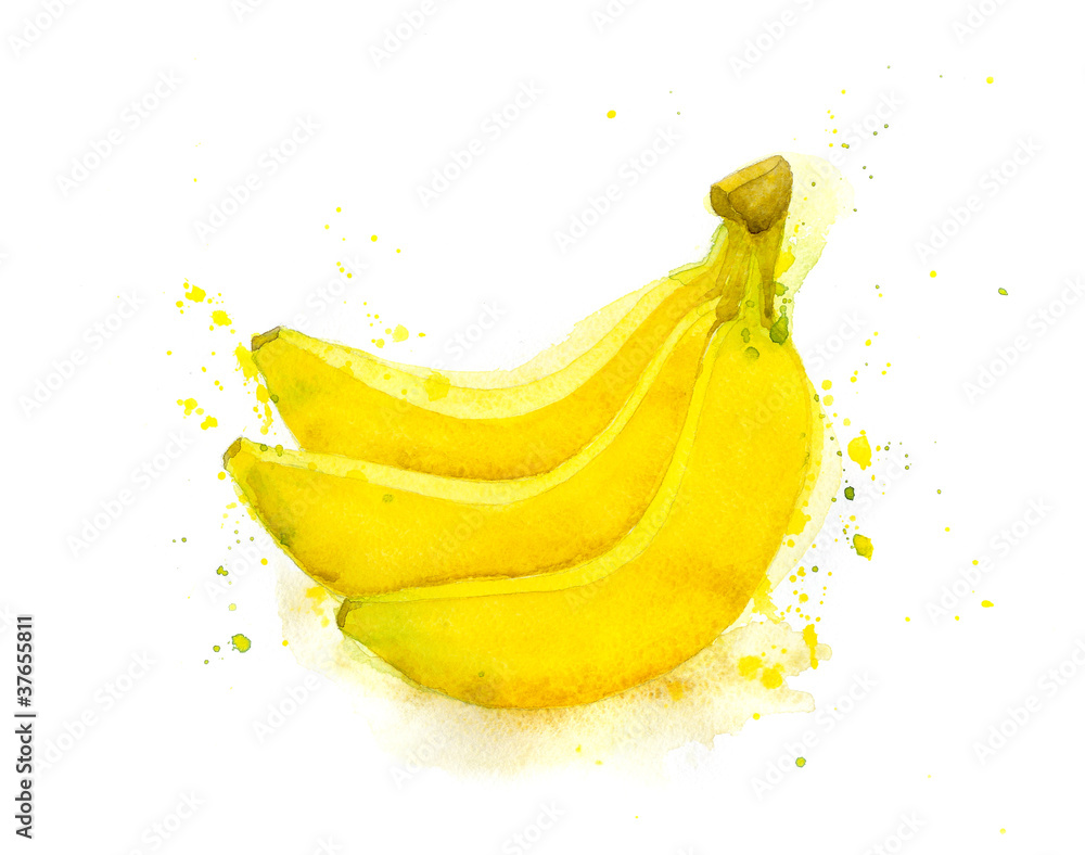 Bananas. Watercolor illustration