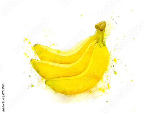 Bananas. Watercolor illustration