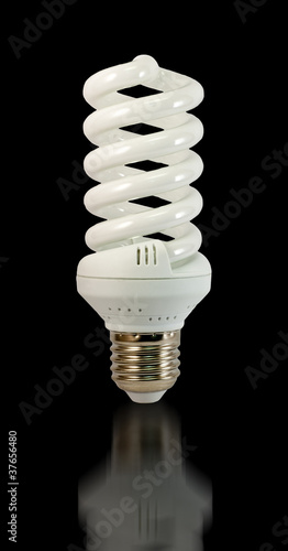 Compact fluorescent bulb photo